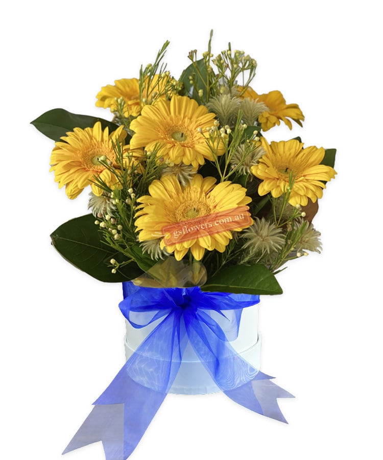 Love and laughter yellow daisy - Floral design