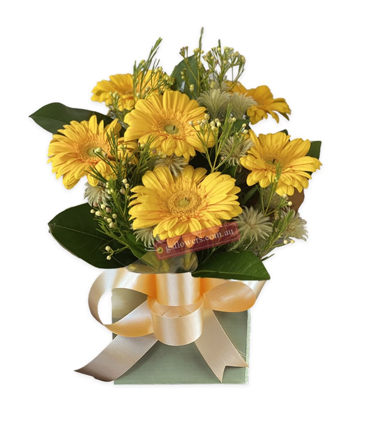 Love and laughter yellow daisy - Green Box Gold Ribbon - Floral design