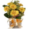 Love and laughter yellow daisy - Cream Box Gold Ribbon - Floral design