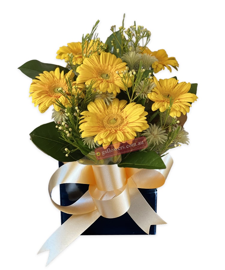 Warm Thought Yellow Gerberas - Black Box Gold Ribbon - Floral design