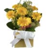 Warm Thought Yellow Gerberas - Gold Box White Ribbon - Floral design