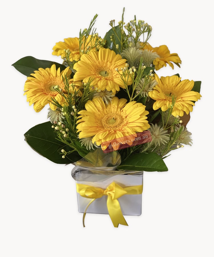 Warm Thought Yellow Gerberas - White Box Yellow Ribbon - Floral design