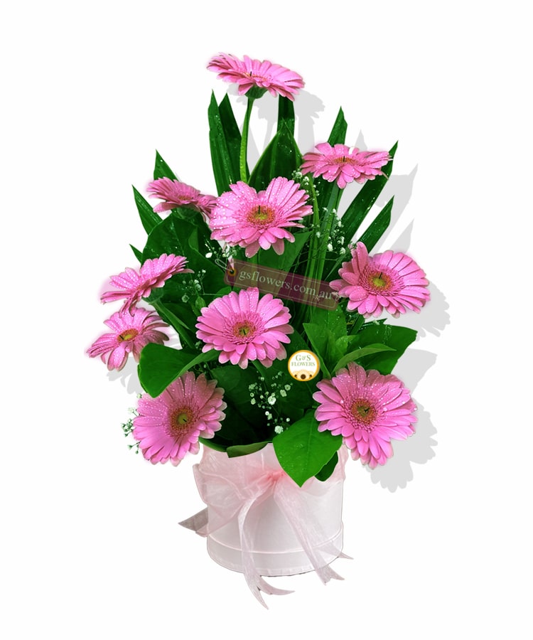 Simply Beautiful Gerbera Flowers - Round Box Pink Ribbon - Floral design
