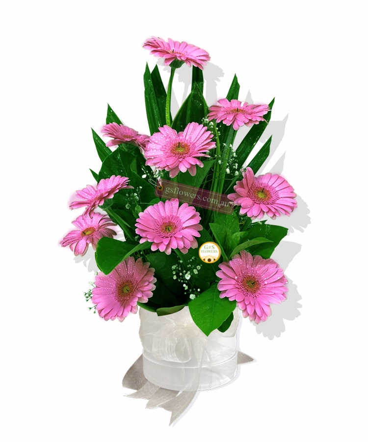 Lovely Gerbera Flowers - White Box White Ribbon - Floral design