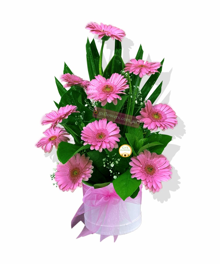 Lovely Gerbera Flowers - Floral design