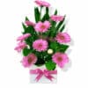 Simply Beautiful Gerbera Flowers - White Box Pink Ribbon - Floral design