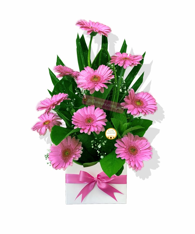 Simply Beautiful Gerbera Flowers - White Box Pink Ribbon - Floral design