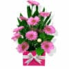 Simply Beautiful Gerbera Flowers - Cut flowers