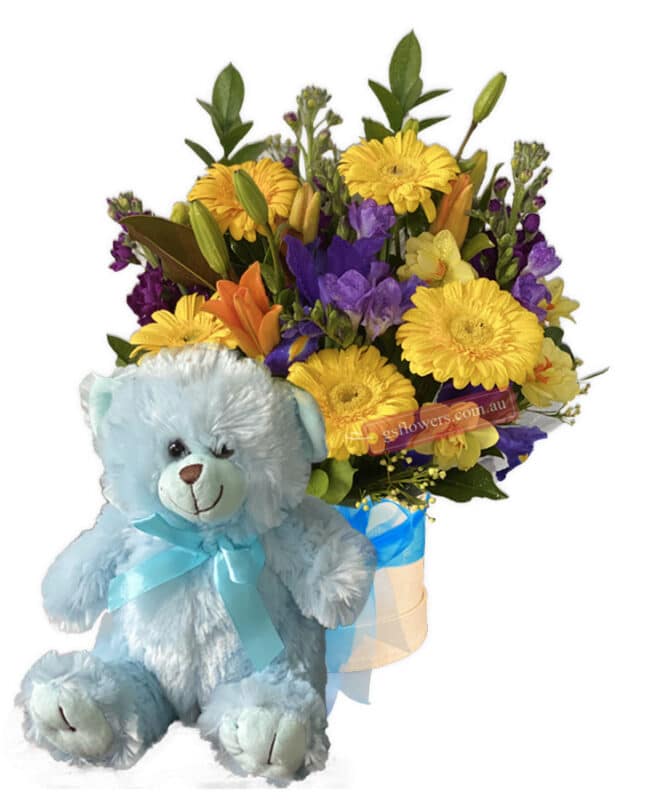 Baby Boy Flowers Bouquet Cheap Price 39 Delivery Melbourne