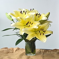 beautiful lilies bouquet gs flowers 200px